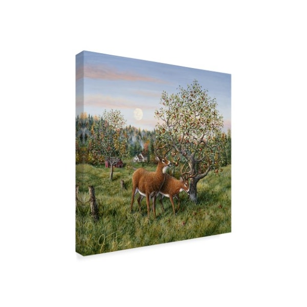 Jeff Tift 'Whitetails Under The Apple Tree' Canvas Art,35x35